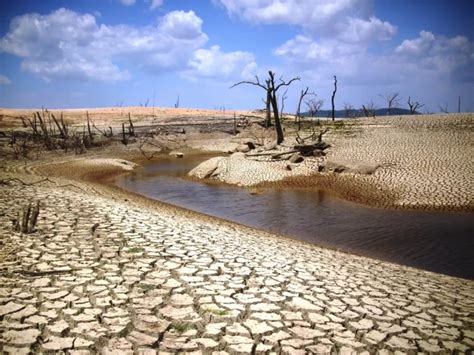 La Sequía Acciones A Tomar