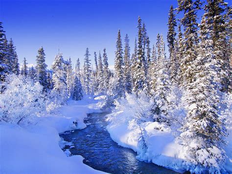 Tổng hợp hơn 1000 hình nền Snow background desktop đẹp nhất cho mùa đông