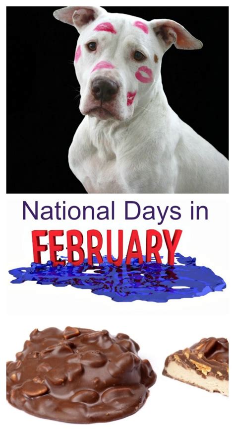 Calendar Of February National Days National Days In February