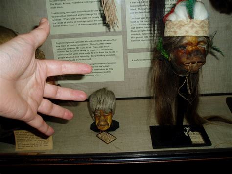 Complex Matters Shrunken Heads And Other Fun Things