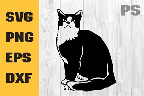 Tuxedo Cat Svg Peeking Animal Clipart Graphic By Ilukkystore