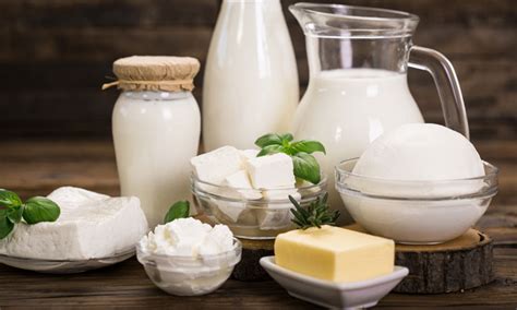 Dairy Milk Cheese Butter Yogurt E A International Biz Llc