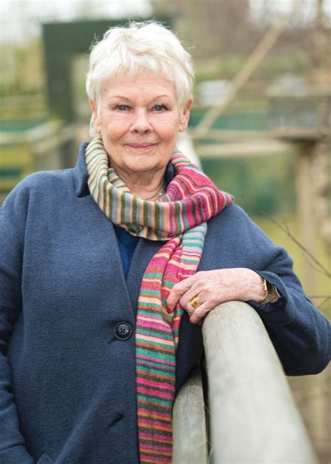 Happy 84th Birthday Judi Dench Lets Go To The Movies