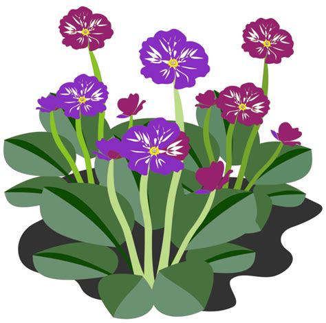 Your browser can't play this video. Library of plants flowers image png files Clipart Art 2019