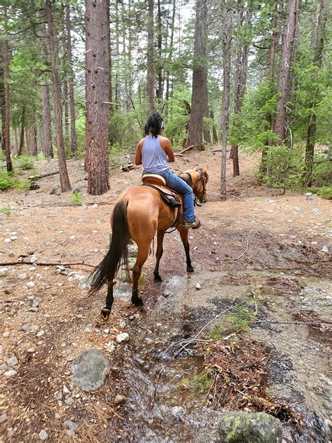 A Ride In Yosemite National Park Just Beautiful Rhorses