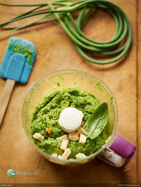 Garlic Scape Pesto Recipe | RecipeLand.com