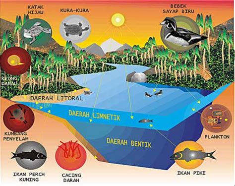 Komponen Biotik Dan Abiotik Yang Membantu Proses Penyerbukan Tumbuhan