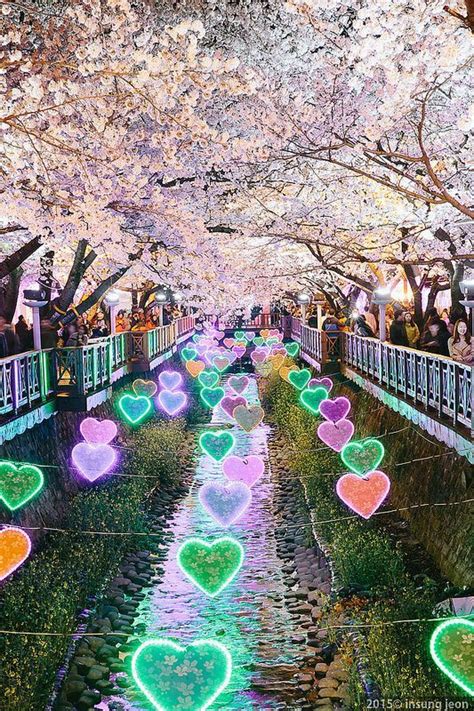 Cherry Blossom Festival South Korea Travel Korea Travel South Korea