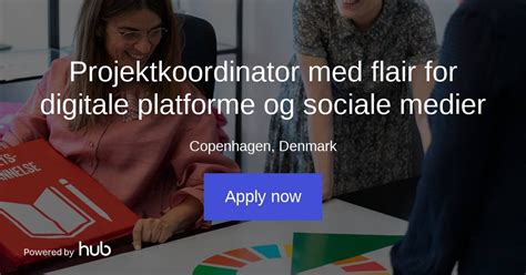 The Hub Projektkoordinator Med Flair For Digitale Platforme Og