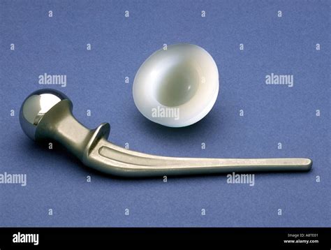 Titanium Hip Prosthetic Ball Joint Stock Photo 2264576 Alamy