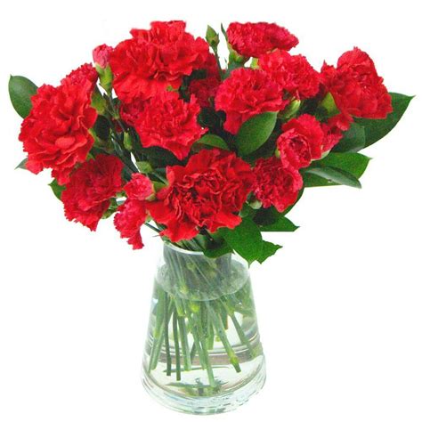 Red Carnations Uk Flower Delivery By Clare Florist