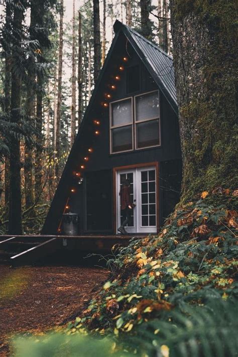 25 Dreamy And Cozy Cabins You Will Want To Visit This Year Page 17 Of