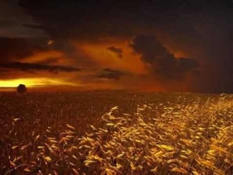 You'll remember me when the west wind moves / upon the fields of barley. EVA CASSIDY -FIELDS OF GOLD (lyrics) - cover Ninjonna ...