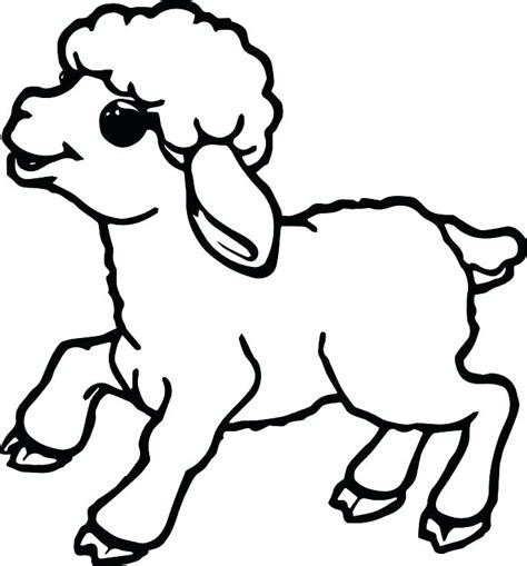 Baby Sheep Drawing At Getdrawings Free Download