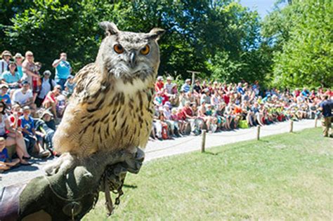 Tierpark Hellabrunn: Animal shows and daily feedings