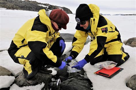 New Science To Improve Antarctic Wide Protection Australian Antarctic
