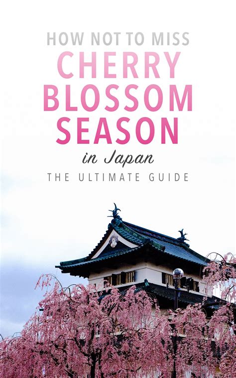 Ultimate Guide To Viewing Cherry Blossoms In Japan Cherry Blossom Japan Japan Travel