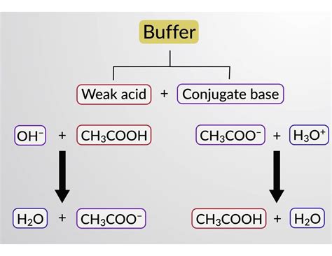 Buffers Buffer Components And Buffer Action Concept Chemistry Jove