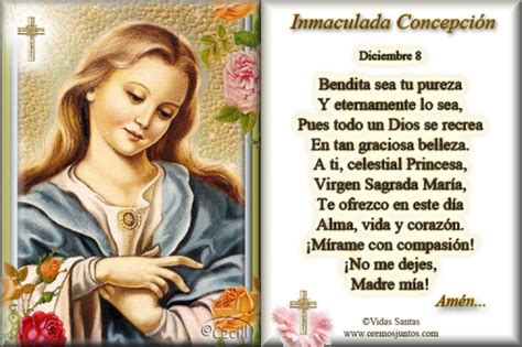 Sin embargo, nuestro país siempre se ha mostrado a favor de su celebración. Día de la Inmaculada Concepción de María - Imágenes ...