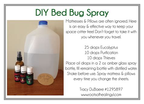 The 20 Best Ideas For Diy Bed Bugs Best Collections Ever Home Decor