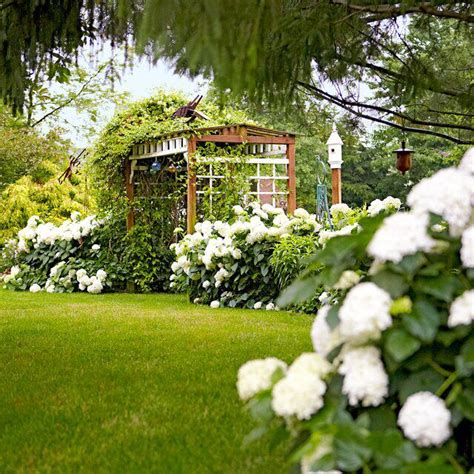 The Most Gorgeous White Hydrangeas For Your Garden Hydrangea