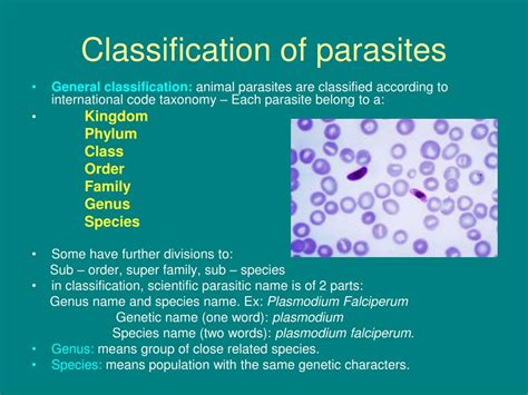Ppt Introduction To Parasites Powerpoint Presentation Free Download Id 5510485