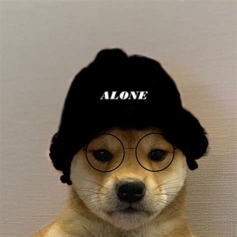 Pin By Cutierxse On Perro Con Gorro Meme Dog Icon Funny Profile
