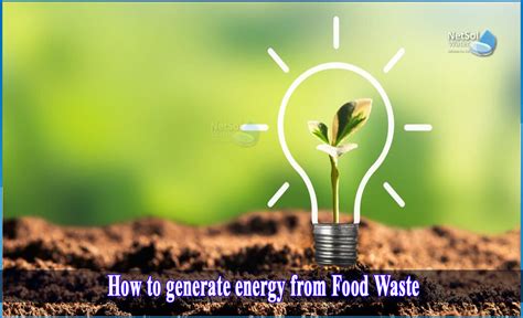 How To Generate Energy From Food Waste Netsol Water