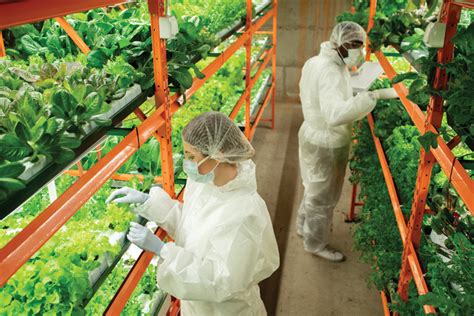 cea research and the future of food produce grower