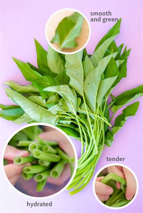 Oh well, i will try covering the ones that are left with some sort of a cloche and see if that helps. stir-fried morning glory 蒜炒空心菜 • healthyfeels