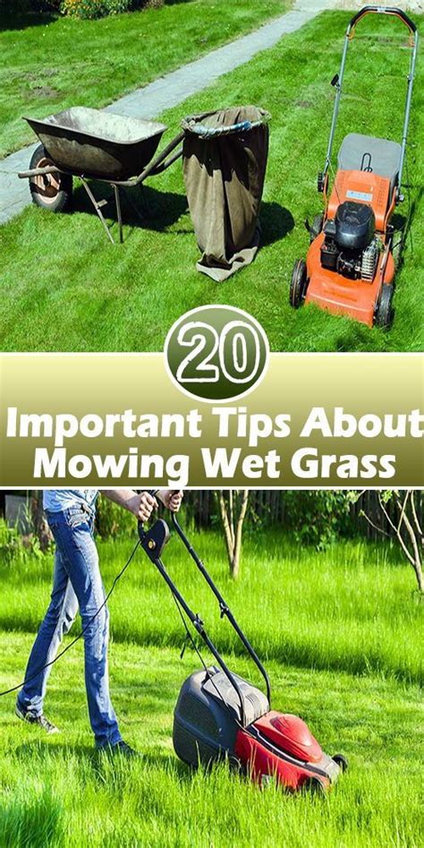 Mowing Wet Grass Here Are The Top 20 Tips To Know Grass Lawn Care