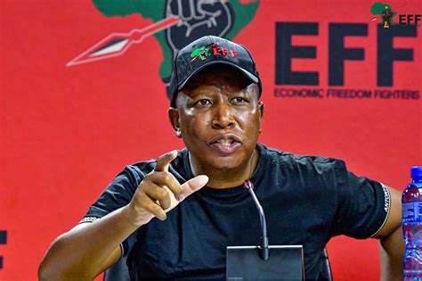 Eff Condemns Fake News Statement Regarding Julius Malema