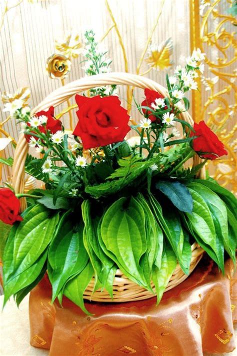 Sebut pasal sirih junjung, semua pengantin tahu, ia benda wajib, kena ada dalam senarai barang hantaran pertunangan mahupun perkahwinan.malahan, dalam susunan keutamaan, sirih junjung akan didahulukan dan dibawa paling hadapan apabila menghampiri rumah pengantin. Gubahan Hantaran 2013 - Puncak Qaseh Gold