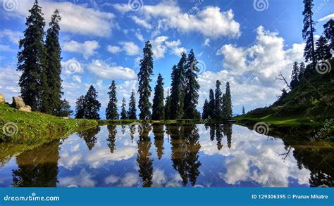 Trees Reflection In Water With Beautiful Surrounding Of Sky Stock Image