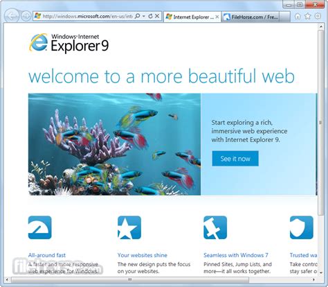 Internet Explorer 110 Windows 7 64 Bit Download For Windows