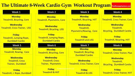8 Week Cardio Workout Plan For Gym Goers With Free Pdf