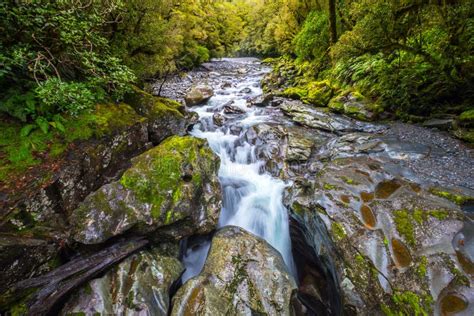 Chasm Fall Fiordland National Park Milford Sound New Zealand Stock