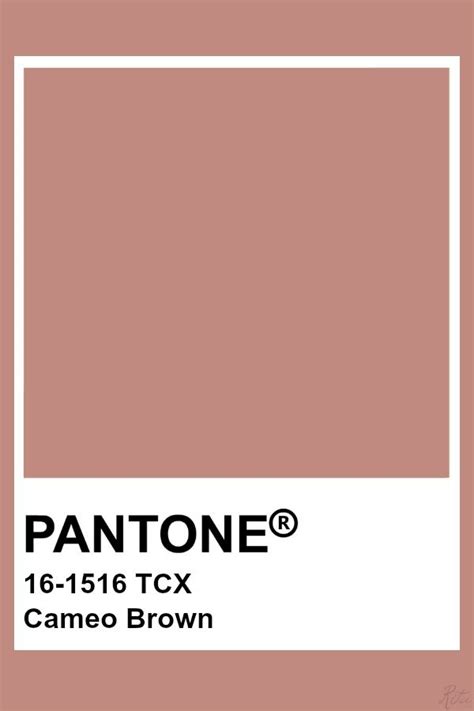 Pantone Cameo Brown Kleur Inspiratie Kleurenpalet Kleurenpaletten