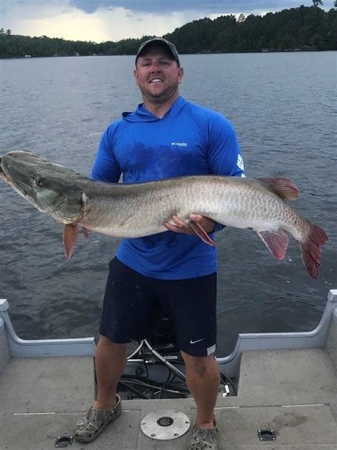 Check spelling or type a new query. 'True giant': Angler's monster muskie sets new Minnesota ...
