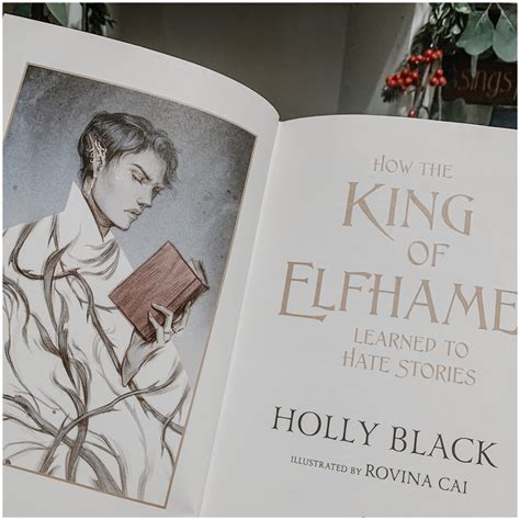 Thoughts As I Read How The King Of Elfhame Learned To Hate Stories — Storied
