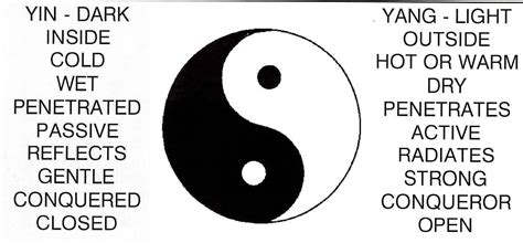 the law of the 5 elements yin yang kinesiologyzone