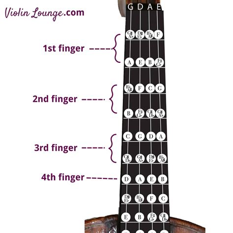 All Violin Notes In The First Position For Beginners Violin Lounge