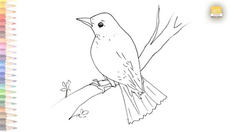 Common Nightingale Outline Drawing Easy How To Draw Nightingale Step