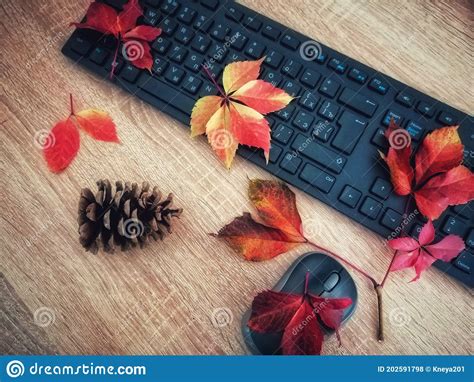 Autumn Working Background On The Office Desk Stock Photo Image Of