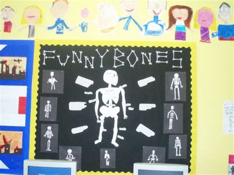 Funny Bones Display Teaching Ideas