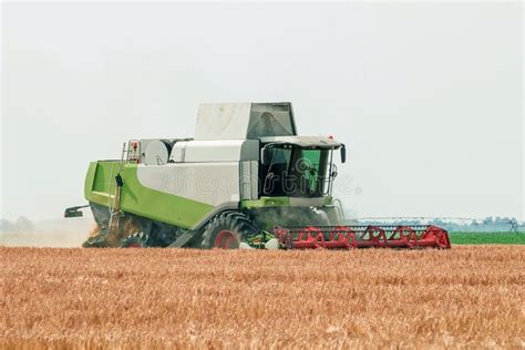 Combine Harvester Working On A Wheat Field Harvesting Wheat Stock