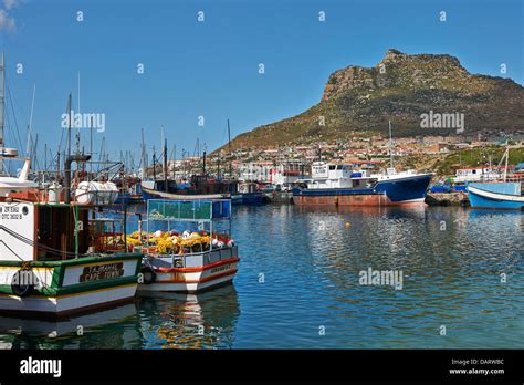 Fishing Boats In Harbor Of Hout Bay Cape Town Western Cape South