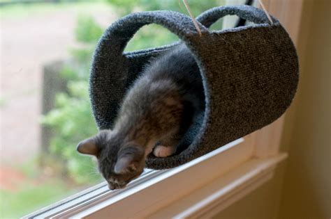 Find out the best cat window perches or hammocks with suction cup. Make a DIY Window Perch for Your Cat | HGTV
