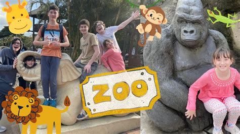 Zoo Visit Which Animal Is Your Favourite Youtube