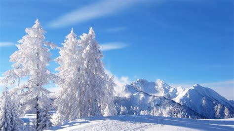 White beautiful winter time - cold season